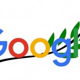 گوگل دنس چیست