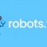 فایل روبوت robot.txt چیست