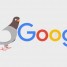 الگوریتم کبوتر گوگل چیست